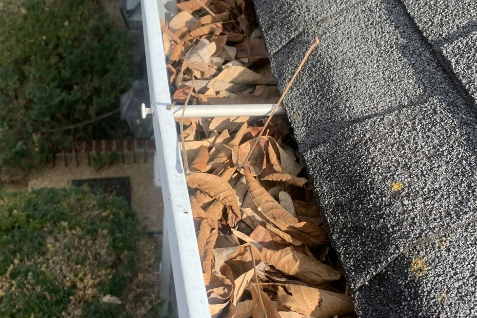 Gutter Cleaning Carrick