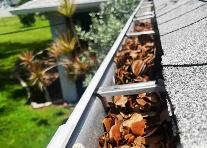 Gutter Cleaning Carrick home page